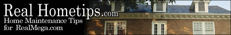 www.realhometips.com